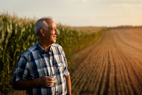 Foto: alter Mann auf Feld
